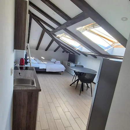 Urban Charming Attic Appartement